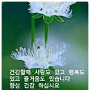 서희해법수학다니엘교습소 | 양주아파트경매 ▶양주시 덕정동 양주서희스타힐스2단지 33평형 3억4,300만원 역세권 덕정역 [2020...