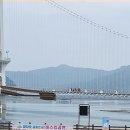 예당관광지 문화광장 이미지