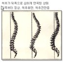 부천수림한방병원 이미지