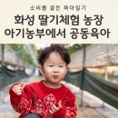 철만농장 | 화성 아기농부 3번째 또간집 딸기농장 공동육아 후기