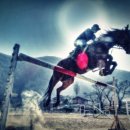 문경승마클럽 이미지