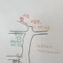 감내마을회관 이미지