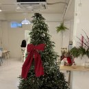 외동반림로-2 | 창원 두바이 쫀득쿠키 가로수길 카페 버터레몬디저트샵 내돈내산 솔직후기