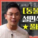 조지 오웰/풍자 소설 동물농장 이미지