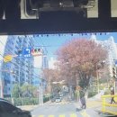 어린이 보호구역 중침+횡단보도 보행자 사고 이미지