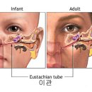 스타키보청기(진주센터) 이미지