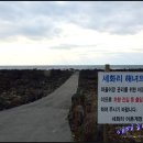 세화리해수욕장 이미지