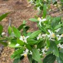 내산농장 이미지