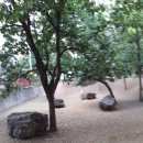 사월동 지석묘군 이미지