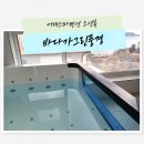 해돋는풍경 | 거제스파펜션 오션뷰 감성돋는 바다가그린풍경