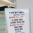 펫츠아일랜드 이미지