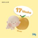 프라이드 디지털 솔로션 | [임신 일기] 17주 ~ 23주/입체 2차 정밀 초음파/임산부 a형 독감