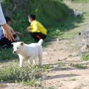 우리집 개구쟁이 이미지