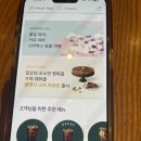 4월 신메뉴 피스타치오 크림 콜드브루 사이렌오더로 먹어본 후기 및 추천 커스텀 (바크콜 처돌이 모여)