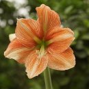 합기도한일우슈체육관 이미지