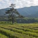 대한농장2 이미지