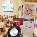 도그애견 이미지