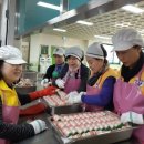 충청북도노인종합복지관 이미지