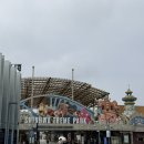숲 | [제주도/서쪽] 모모쥬 동물원 / 돌코리 숲 후기🐱🫧