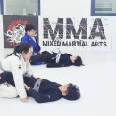 대덕초교도룡분교장 이미지