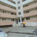 엄사면 엄사리 281 이미지