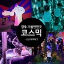 비트올주식회사 | 경주 비오는날 아이랑 놀만한 곳 코스믹리조트