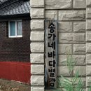 송가네 바다별장 | 강원도 여행 1~2일차