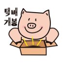 까망코 스토리