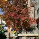 수카페 | [성북동 맛집] 한옥분위기 만끽할 수 있는 케이드 성북동 카페 후기