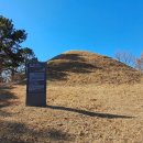 동리 고분군(東里 古墳群) 이미지