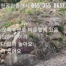 밀양 전원주택지 매매 전망좋은 집 터 102평 (밀양ic5분) 이미지