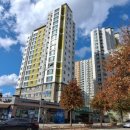 한성에어로빅 이미지