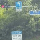 노랑신호
