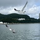 설렘 민박 이미지