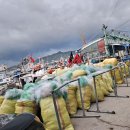 묵호어판장 이미지