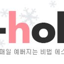 에스홀릭