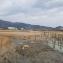 남해안 6구간 두번째 이야기 (바닷물이 썩지않은 이유) 이미지