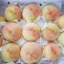 태우농장 이미지