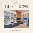 대전본동물병원 | 대전 동물병원 고민된다면 대전본동물병원!