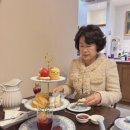 서울 애프터눈티 세트 티아레나 크리스마스차