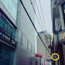 카페트윈컵