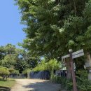 씨유 고산한신더휴점 | 30대 직장인 주말 일상 | 의정부 부용산 코스 및 산책 후기 &amp; 고산동 한복판칼국수 &amp; 백년밥상 손말이...