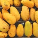 황금과일 이미지