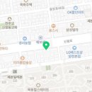 요미독 강아지분양 요미캣 고양이분양 목동점 네이버블로그