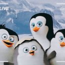 일단가자