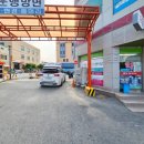 문어의꿈무안 이미지