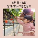 에덴농장 | 경기도 딸기따기체험 포천 에덴농장 후기 및 팁