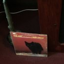 나리식당 이미지