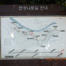 방아교 이미지