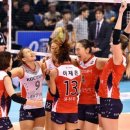 현대인삼 이미지